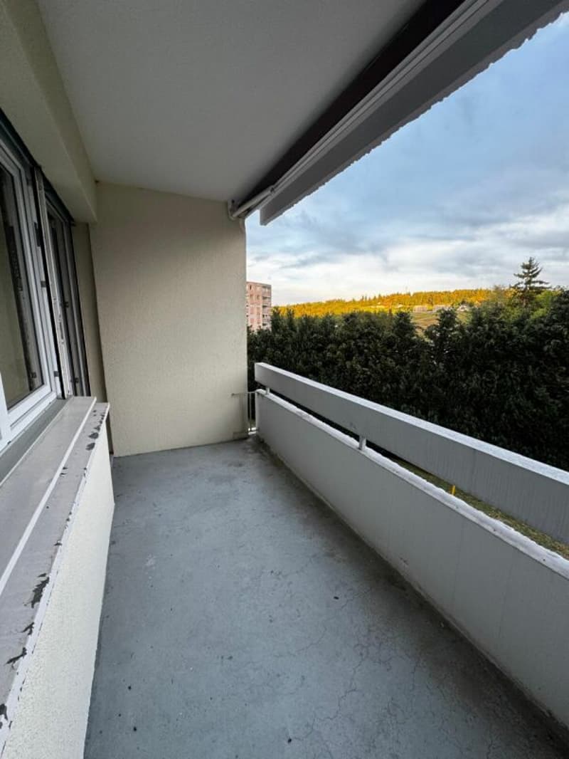 Neuwertige 3 Zimmerwohnung in Wittenbach (9)