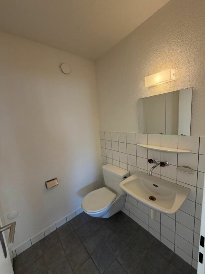 Schöne, helle 4-Zimmer-Wohnung mit Balkon & Bergsicht an zentraler Lage in Chur (12)