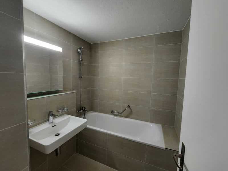 Appartement 4 pièces à louer immédiatement (6)