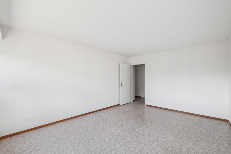 Magnifique et spacieux appartement de 4.5 pièces à louer de suite!!! (6)