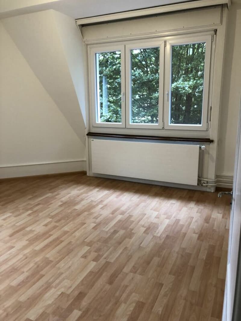 5.5 Zi Dachwohnung in altem Patrizierhaus (7)