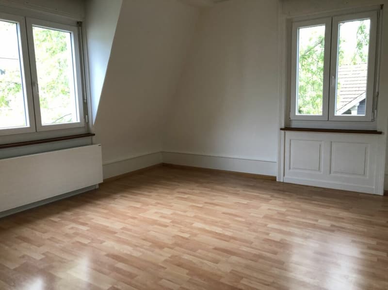 5.5 Zi Dachwohnung in altem Patrizierhaus (6)