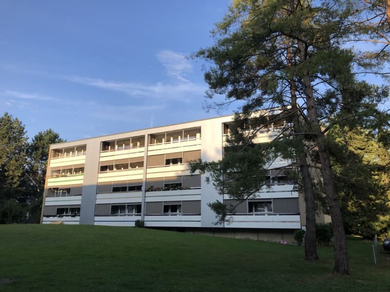 Appartamento 5.5 locali 1° piano balcone con sole della sera (7)