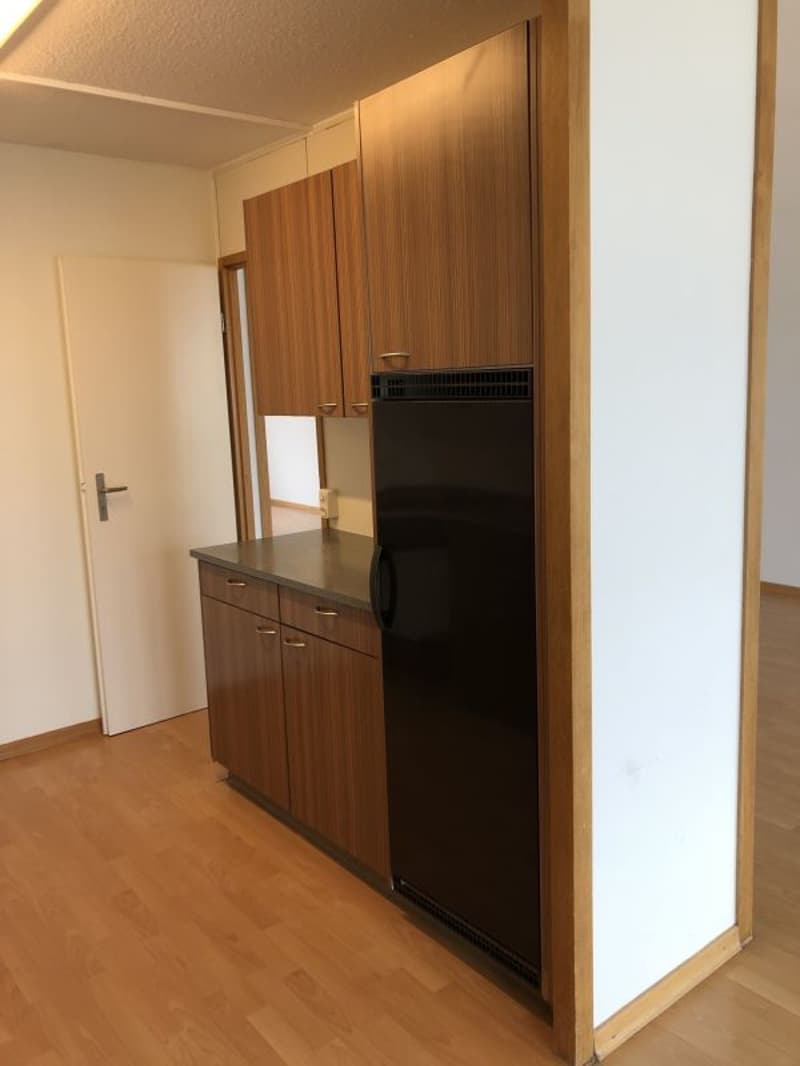 Appartamento 5.5 locali 1° piano balcone con sole della sera (2)