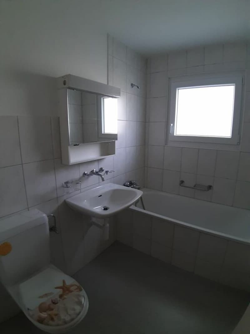 Appartamento 5.5 locali 1° piano balcone con sole della sera (3)
