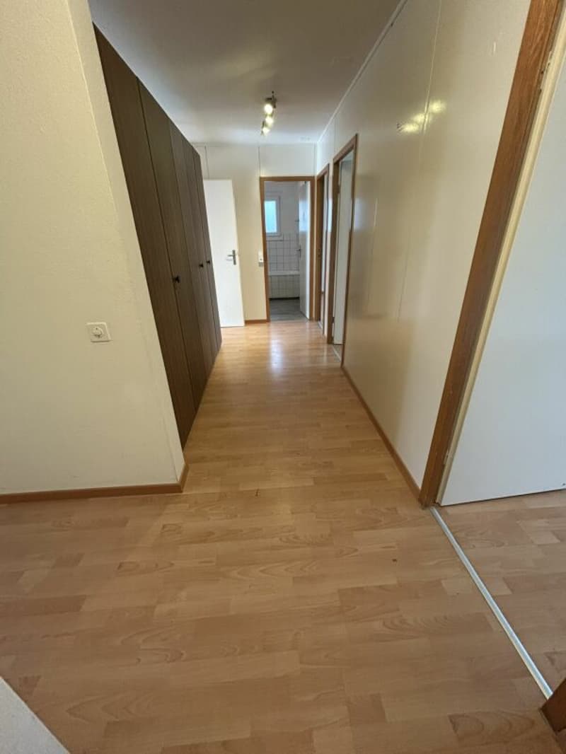 Appartamento 5.5 locali 1° piano balcone con sole della sera (6)