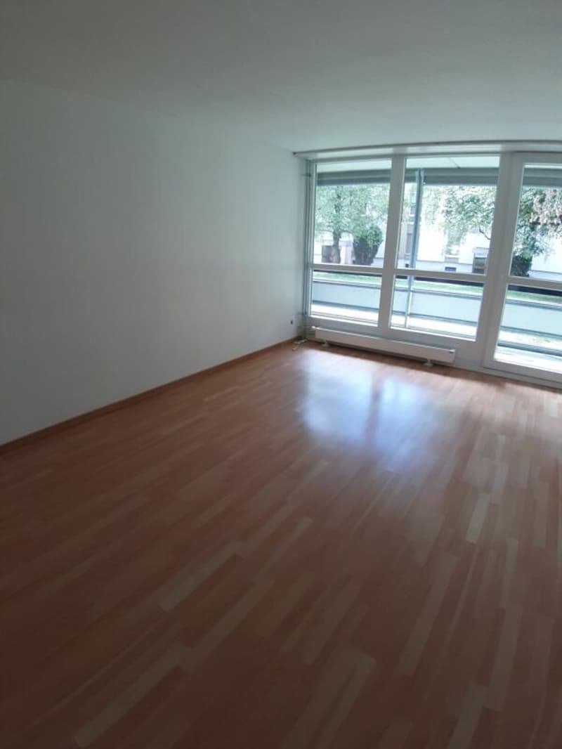 Appartamento 5.5 locali 1° piano balcone con sole della sera (4)