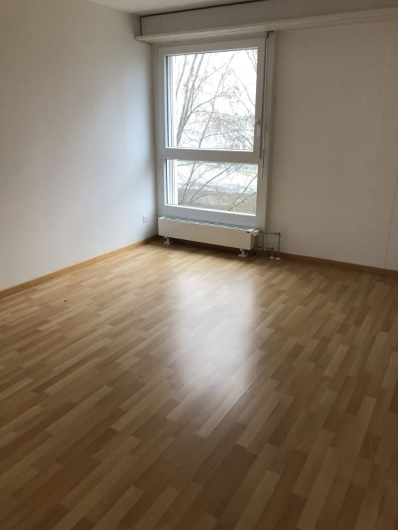 Appartamento 5.5 locali 1° piano balcone con sole della sera (5)