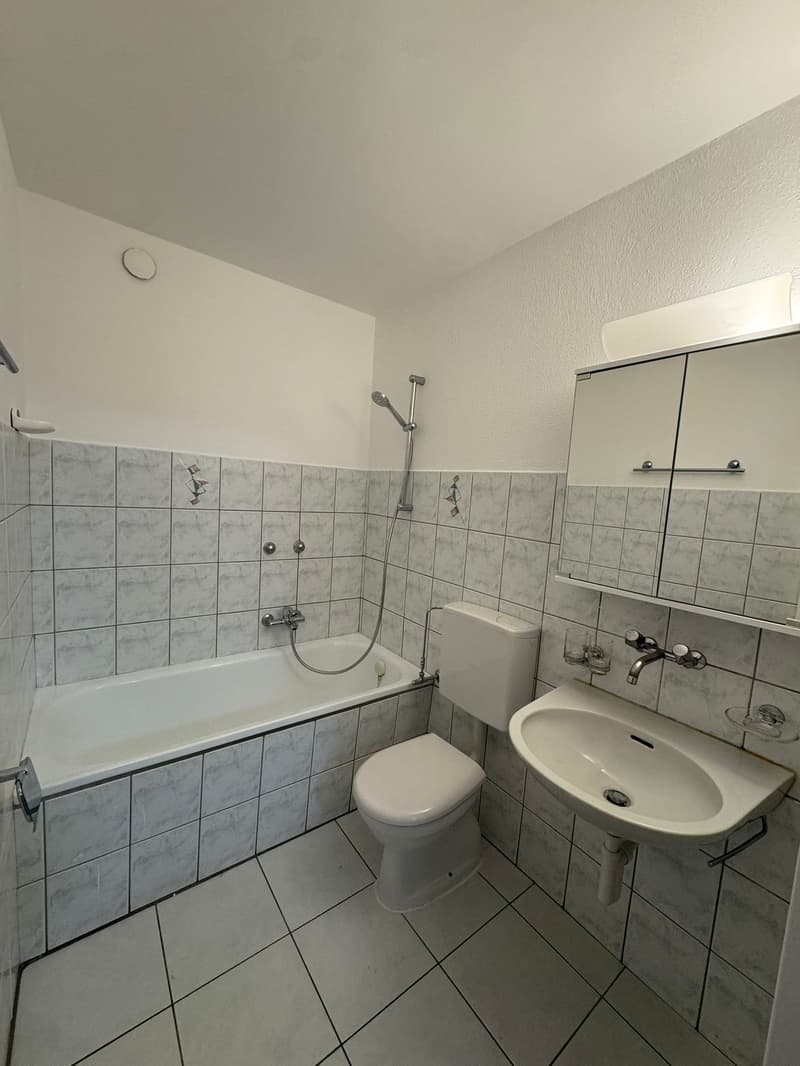 Grande appartement familial de 3.5 pièces Spacieux , lumineux et bien situé ! (4)