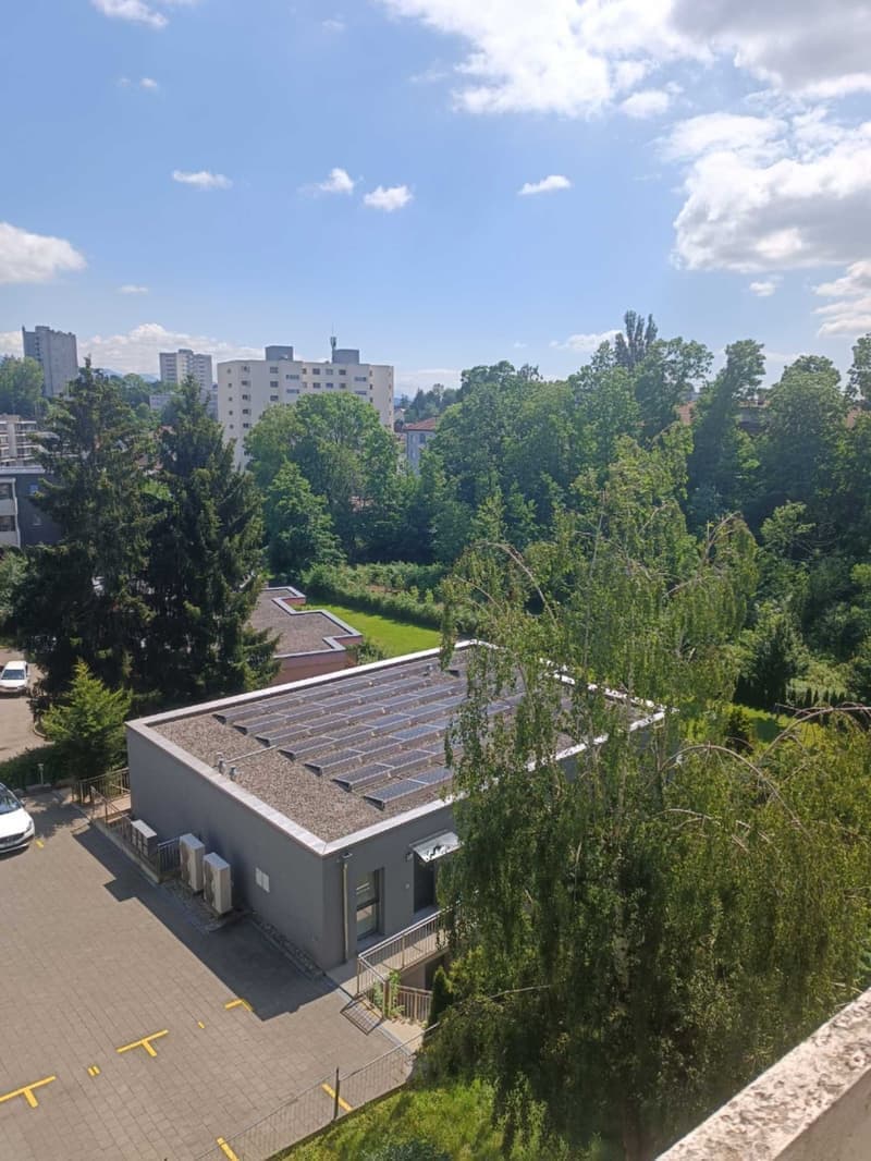 Grande appartement familial de 3.5 pièces Spacieux , lumineux et bien situé ! (11)