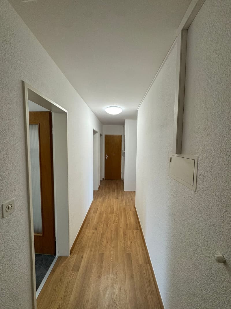 Grande appartement familial de 3.5 pièces Spacieux , lumineux et bien situé ! (6)