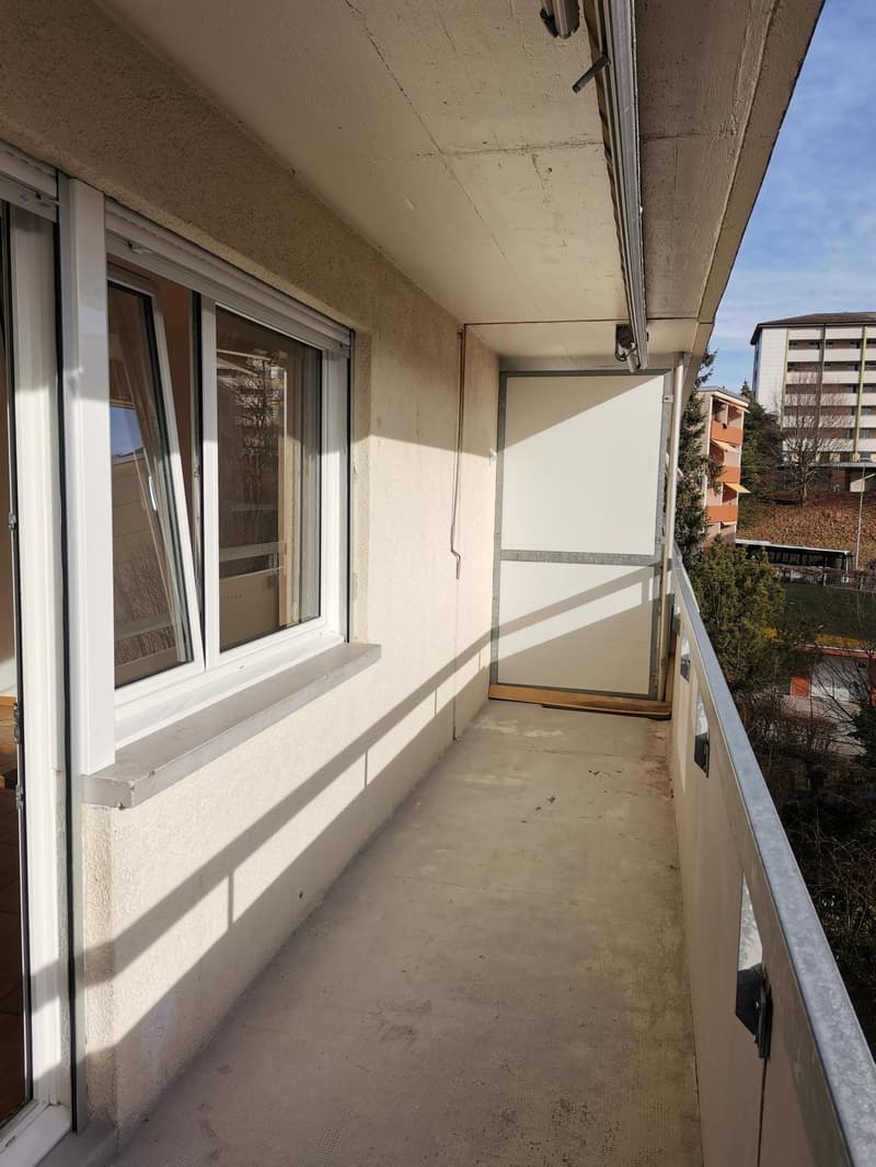 Grande appartement familial de 3.5 pièces Spacieux , lumineux et bien situé ! (10)