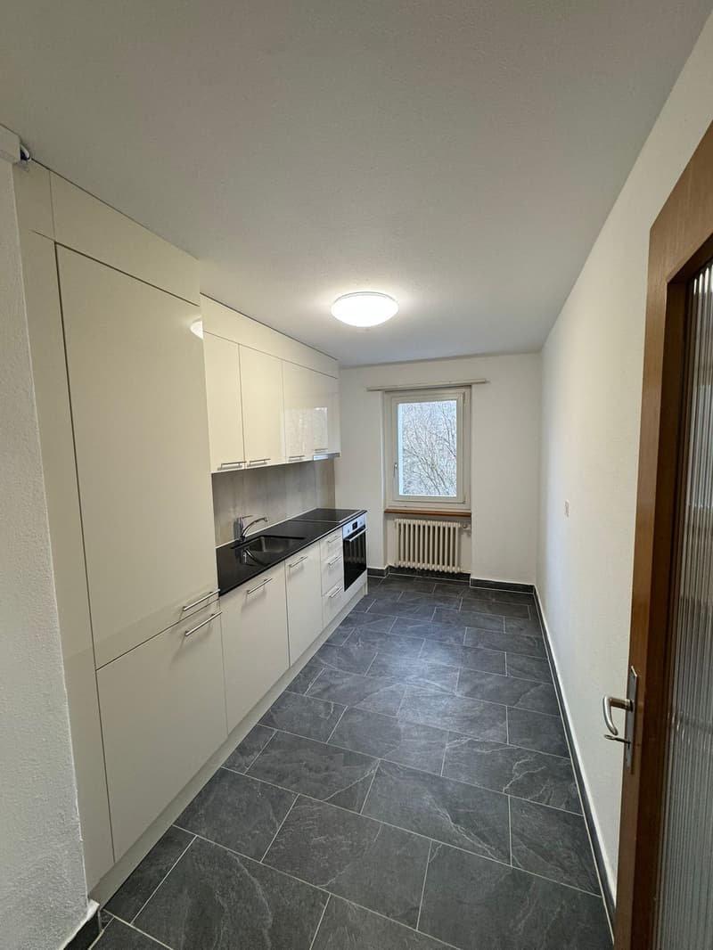 Grande appartement familial de 3.5 pièces Spacieux , lumineux et bien situé ! (2)