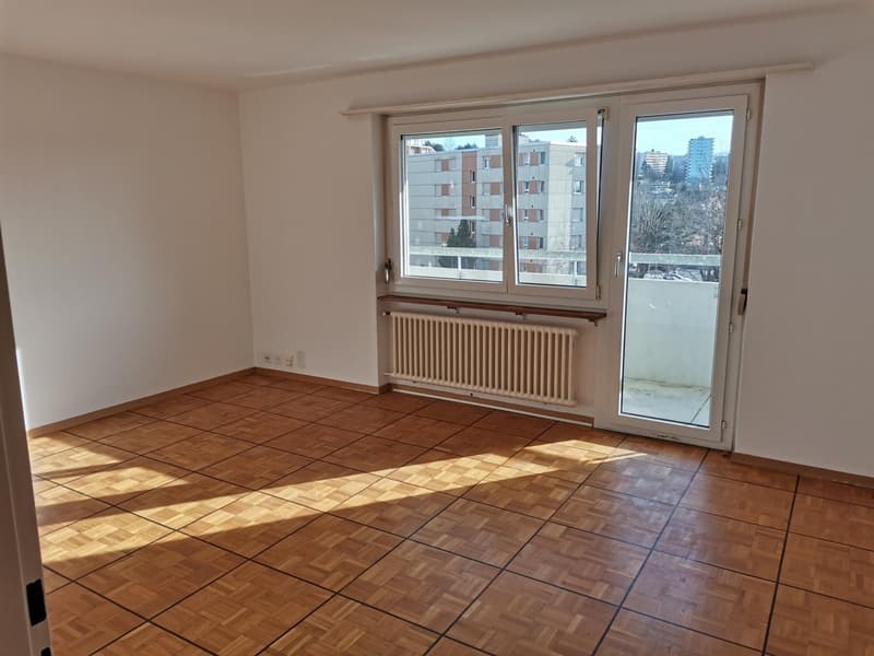 Grande appartement familial de 3.5 pièces Spacieux , lumineux et bien situé ! (9)