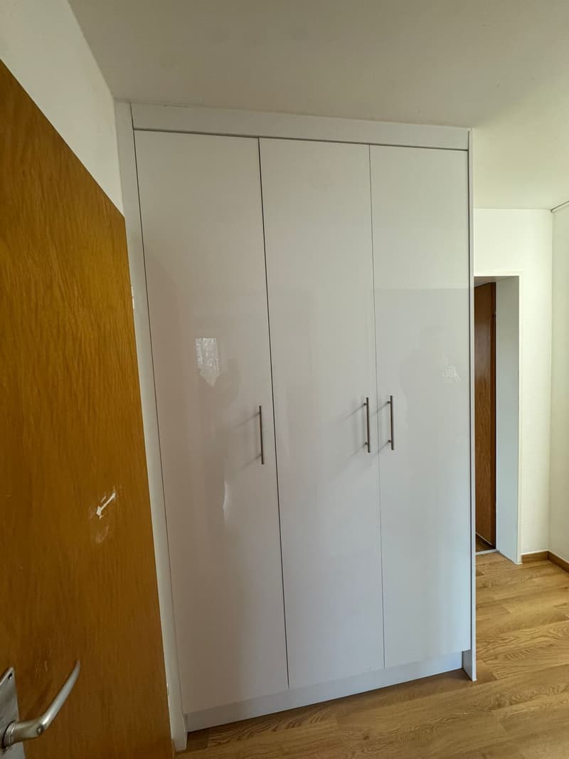 Grande appartement familial de 3.5 pièces Spacieux , lumineux et bien situé ! (5)