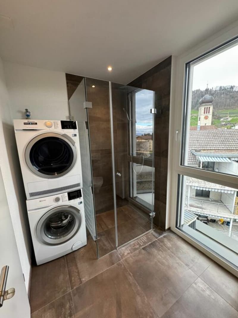 Appartement moderne de 3,5 pièces magnifique (7)