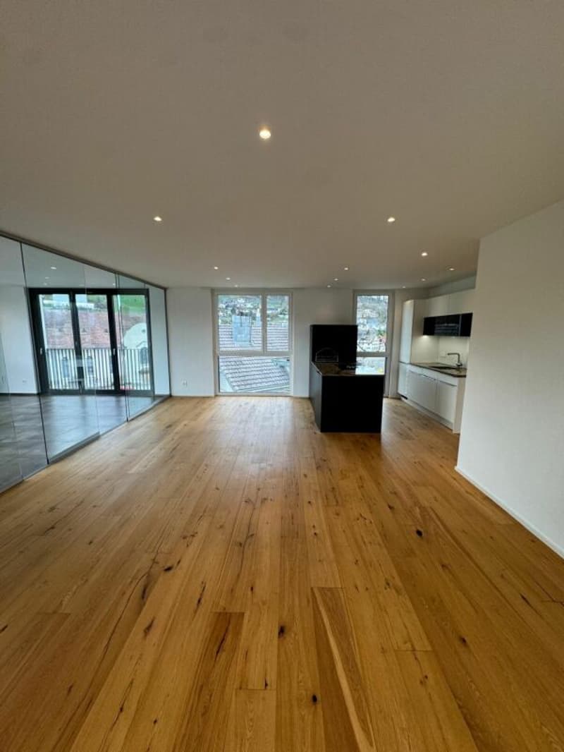 Appartement moderne de 3,5 pièces magnifique (6)