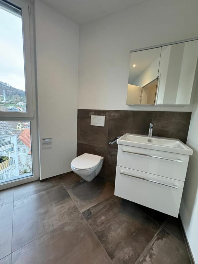 Appartement moderne de 3,5 pièces magnifique (9)