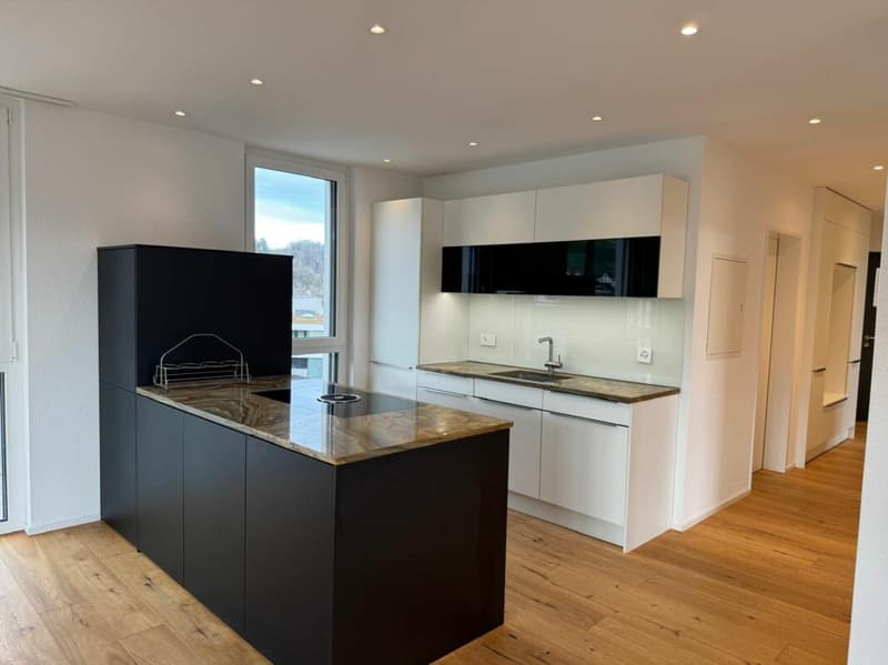 Appartement moderne de 3,5 pièces magnifique (4)