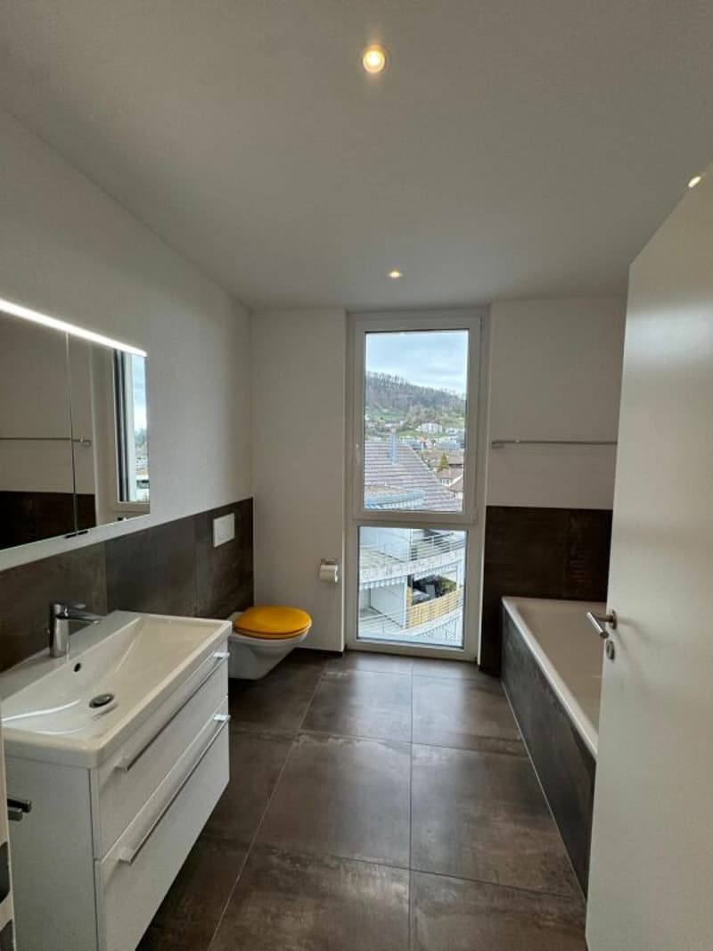 Appartement moderne de 3,5 pièces magnifique (8)