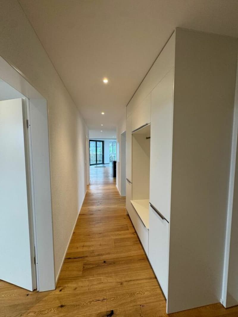 Appartement moderne de 3,5 pièces magnifique (2)