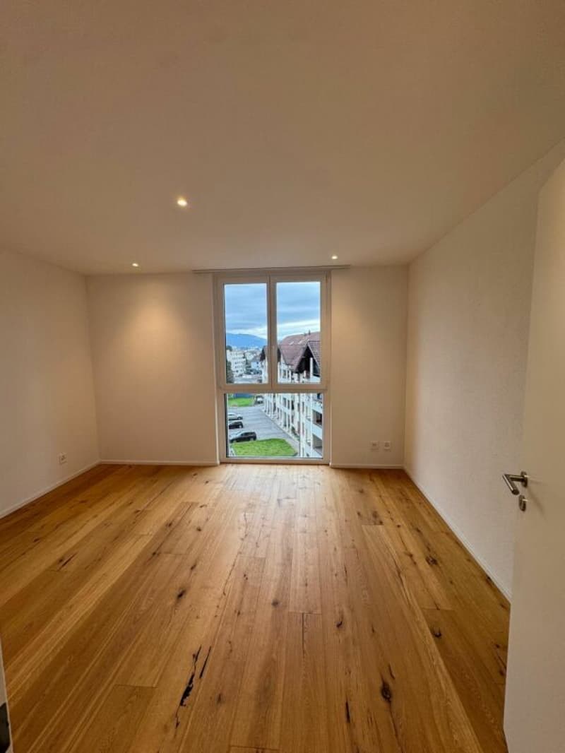 Appartement moderne de 3,5 pièces magnifique (5)