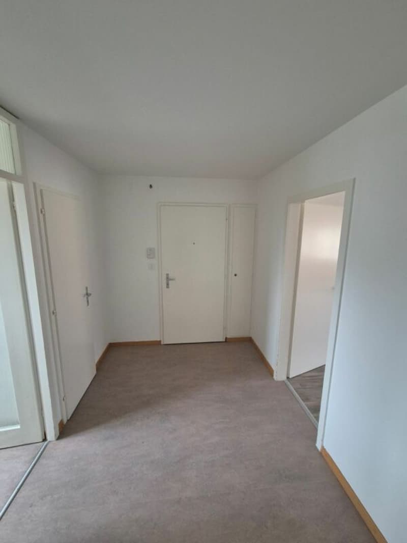2.5 room apartment in Gerlafingen (2)