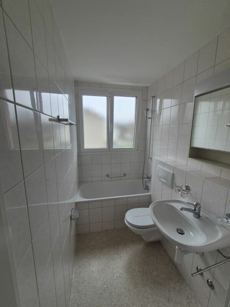 2.5 room apartment in Gerlafingen (8)