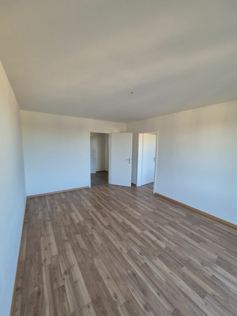 Bel appartement 2.5 pièces dans un quartier calme (7)