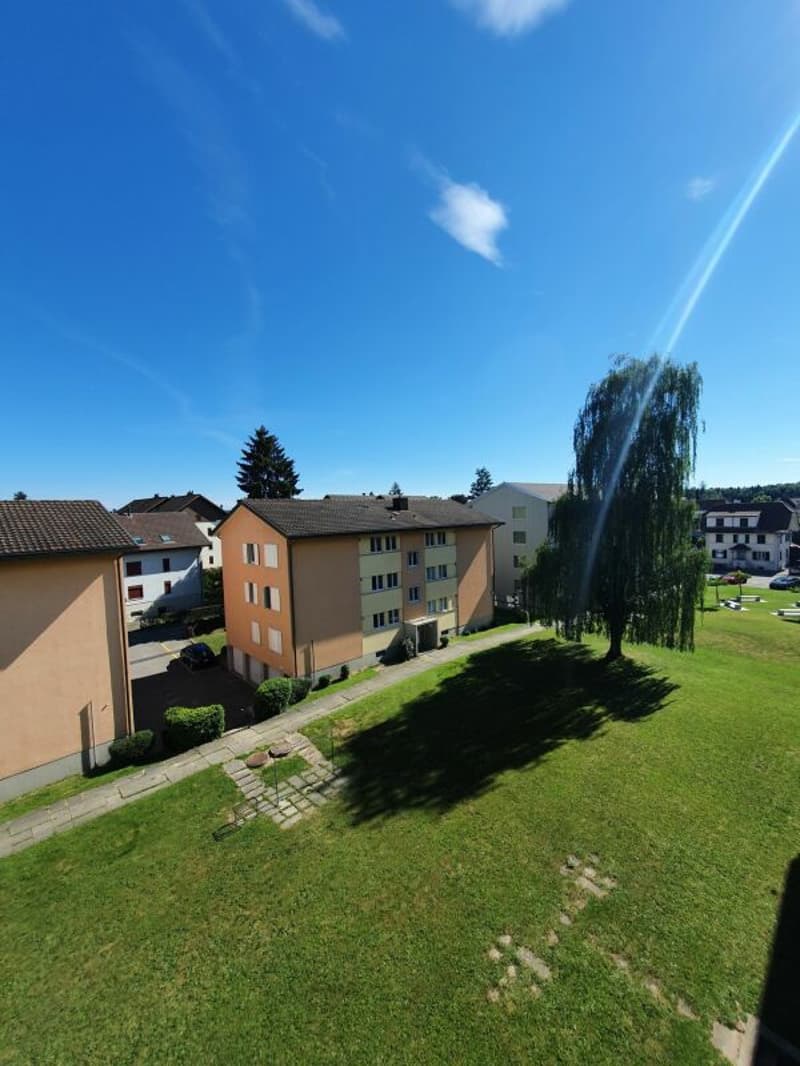 Bel appartement 2.5 pièces dans un quartier calme (9)