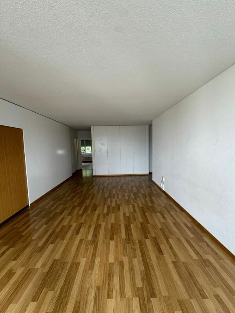 Zu vermieten: geräumige 3,5-Zimmer-Wohnung ab sofort! (3)