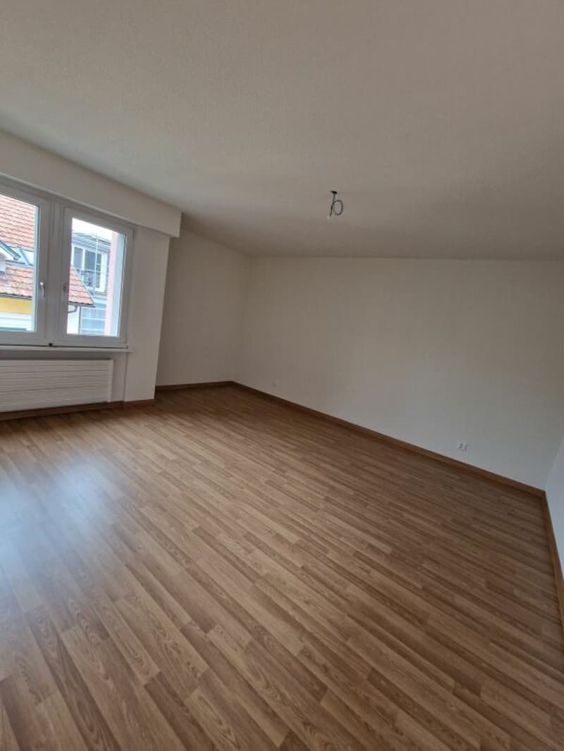Exklusiv! Neu sanierte 5,5 ZWG 180 m2 (11)