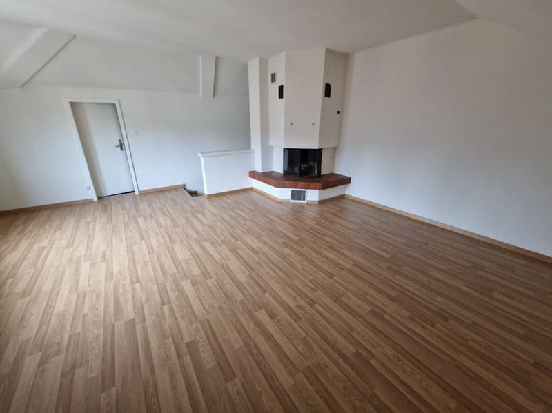 Exklusiv! Neu sanierte 5,5 ZWG 180 m2 (5)
