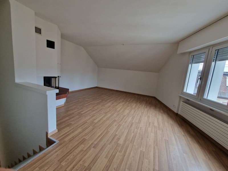 Exklusiv! Neu sanierte 5,5 ZWG 180 m2 (6)