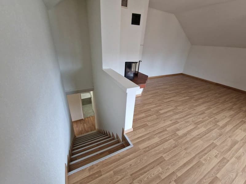 Exklusiv! Neu sanierte 5,5 ZWG 180 m2 (15)