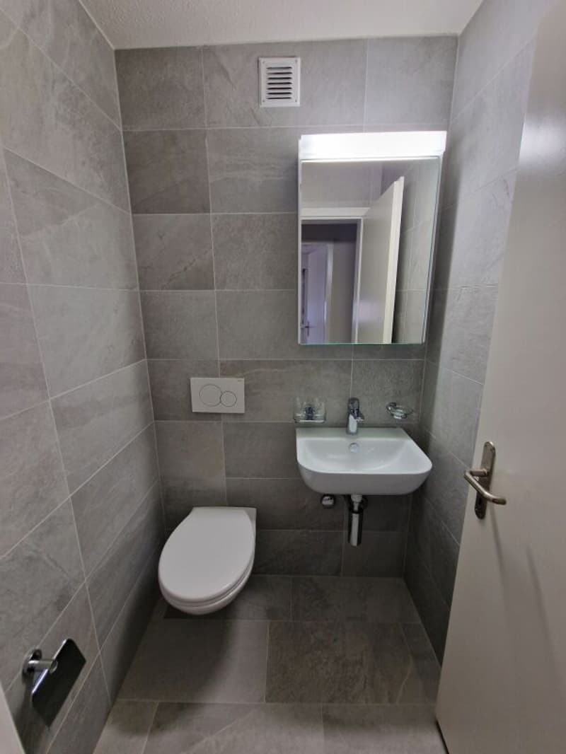 Exklusiv! Neu sanierte 5,5 ZWG 180 m2 (8)