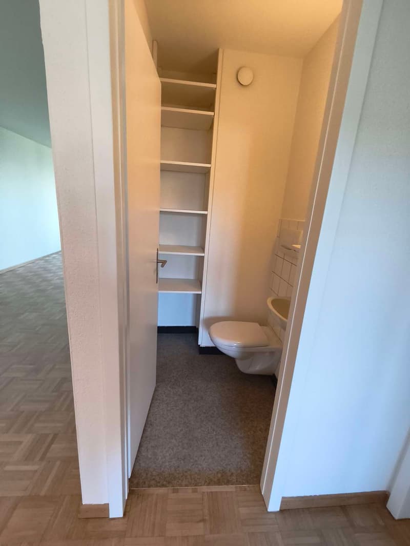 small bathroom with toilet, sink, and shelves