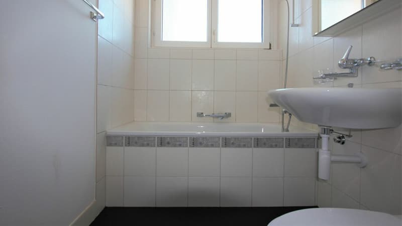 Zentrumsnahe Wohnung (4)
