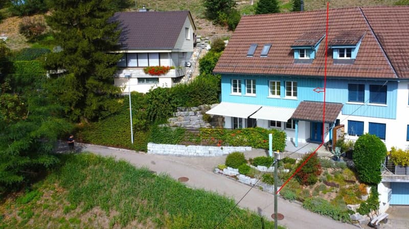 Doppel-Einfamilienhaus mit Studio; viel Platz zum Leben (18)