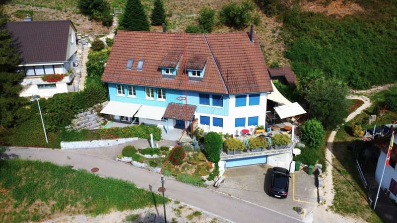 Doppel-Einfamilienhaus mit Studio; viel Platz zum Leben (1)