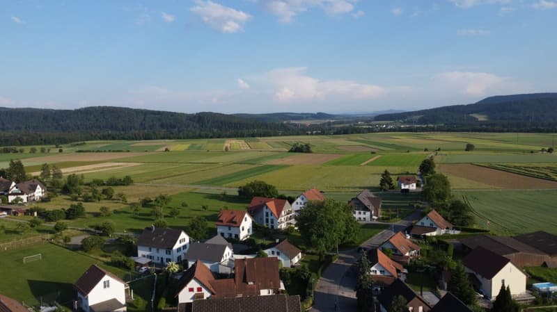 Doppel-Einfamilienhaus mit Studio; viel Platz zum Leben (16)