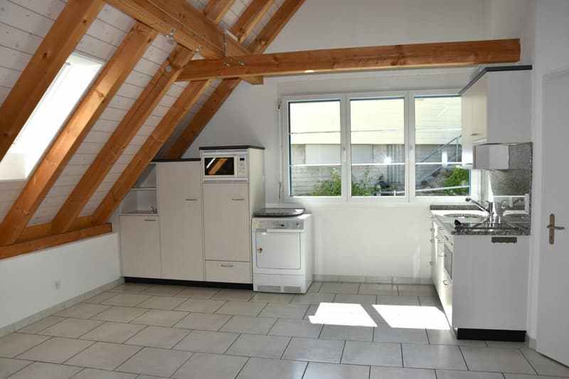 Doppel-Einfamilienhaus mit Studio; viel Platz zum Leben (13)