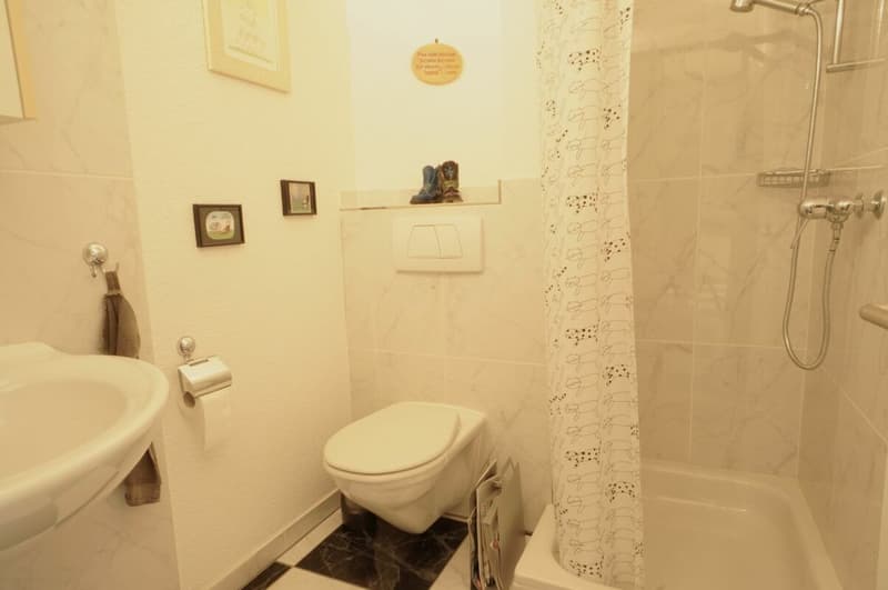 Doppel-Einfamilienhaus mit Studio; viel Platz zum Leben (9)