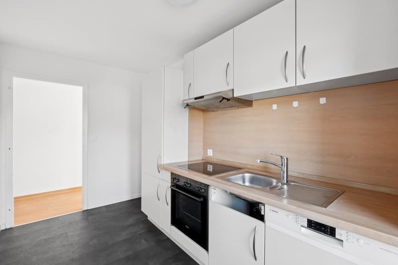 Premier mois de loyer gratuit ! Magnifique et spacieux appartement de 3.5 pièces a louer !!! (2)