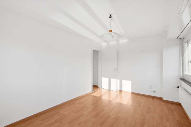 Premier mois de loyer gratuit ! Magnifique et spacieux appartement de 3.5 pièces a louer !!! (8)