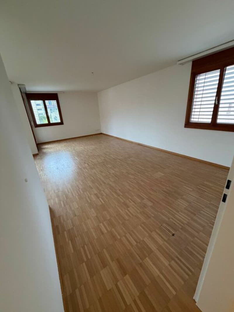 Ampio appartamento 4.5 locali sul lago di Costanza (3)