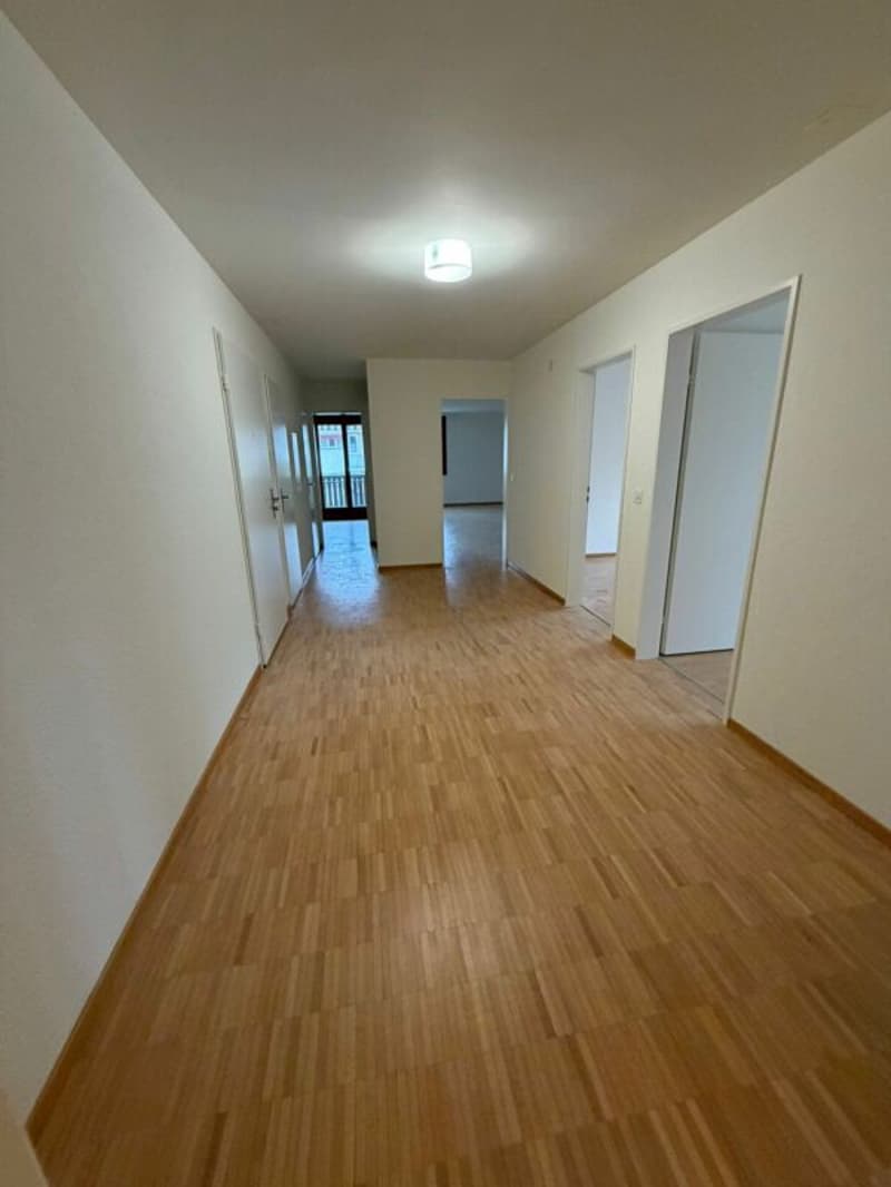 Ampio appartamento 4.5 locali sul lago di Costanza (2)