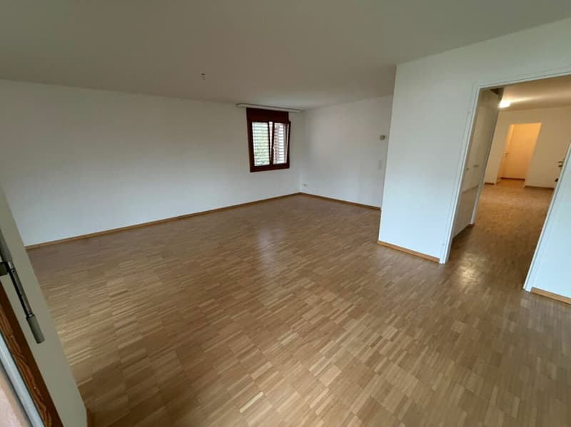 Ampio appartamento 4.5 locali sul lago di Costanza (6)