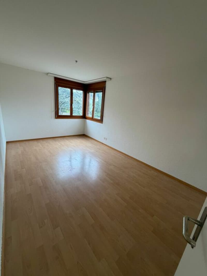 Ampio appartamento 4.5 locali sul lago di Costanza (10)