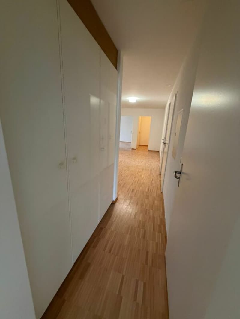 Ampio appartamento 4.5 locali sul lago di Costanza (4)